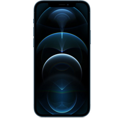 Apple iPhone 12 Pro Max 256Gb (1SIM) Blue (MGCN3)