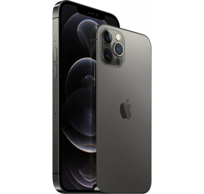 Apple iPhone 12 Pro Max 256Gb (1SIM) Graphite (MGDC3) (JP)