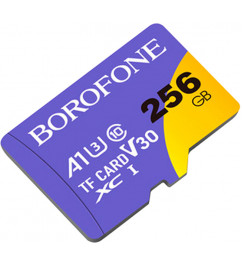 Карта пам'яті BOROFONE microSD 256Gb class 10